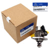 GENUINE High Pressure Fuel Pump for 09-16 Azera Genesis Santa Fe Cadenza Sorento
