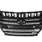 GENUINE Radiator Grille for 2013-2017 Hyundai Elantra GT 86350A5800