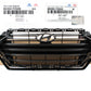 GENUINE Radiator Grille & Molding for 2017 2018 Hyundai Elantra 1.6L 86350F2500