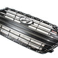 GENUINE Radiator Grille & Molding for 2017 2018 Hyundai Elantra 1.6L 86350F2500